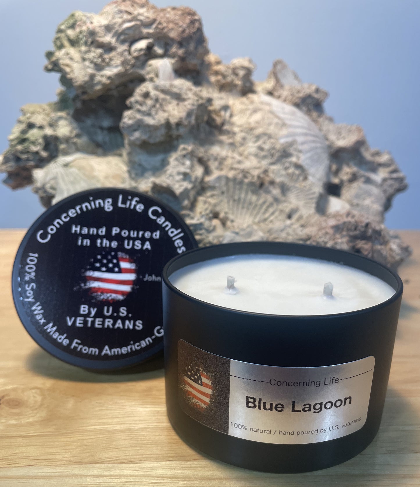 Aromatherapy Scented Candle - Hand Poured by US Veterans - American Grown 100% Soy – Candles Scented for Men & Women – 6.5oz Clean Burning Cotton Wicks – U.S. Veteran Owned Small Business