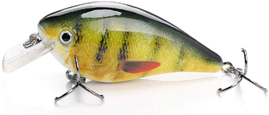 Baby Perch Life-Like Square Bill Crankbait