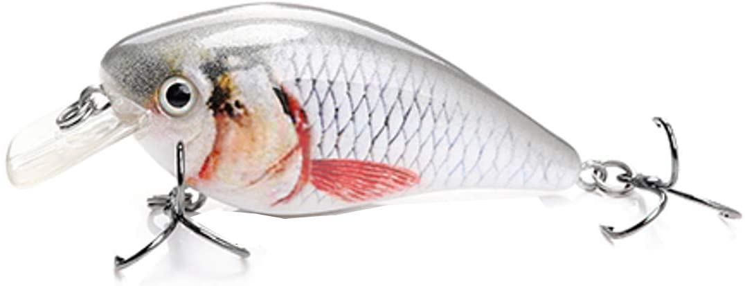 Baby Silver Shad Life-Like Square Bill Crankbait