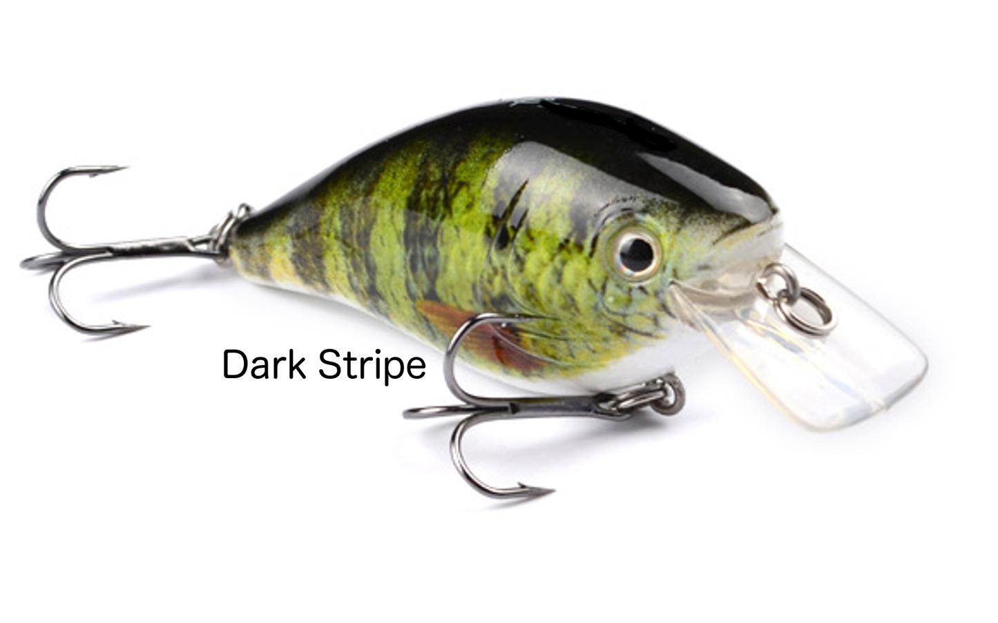 Dark Stripe Life-Like Square Bill Crankbait