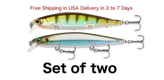 Hard Bait Minnow Jerkbait Lures- Set of 2