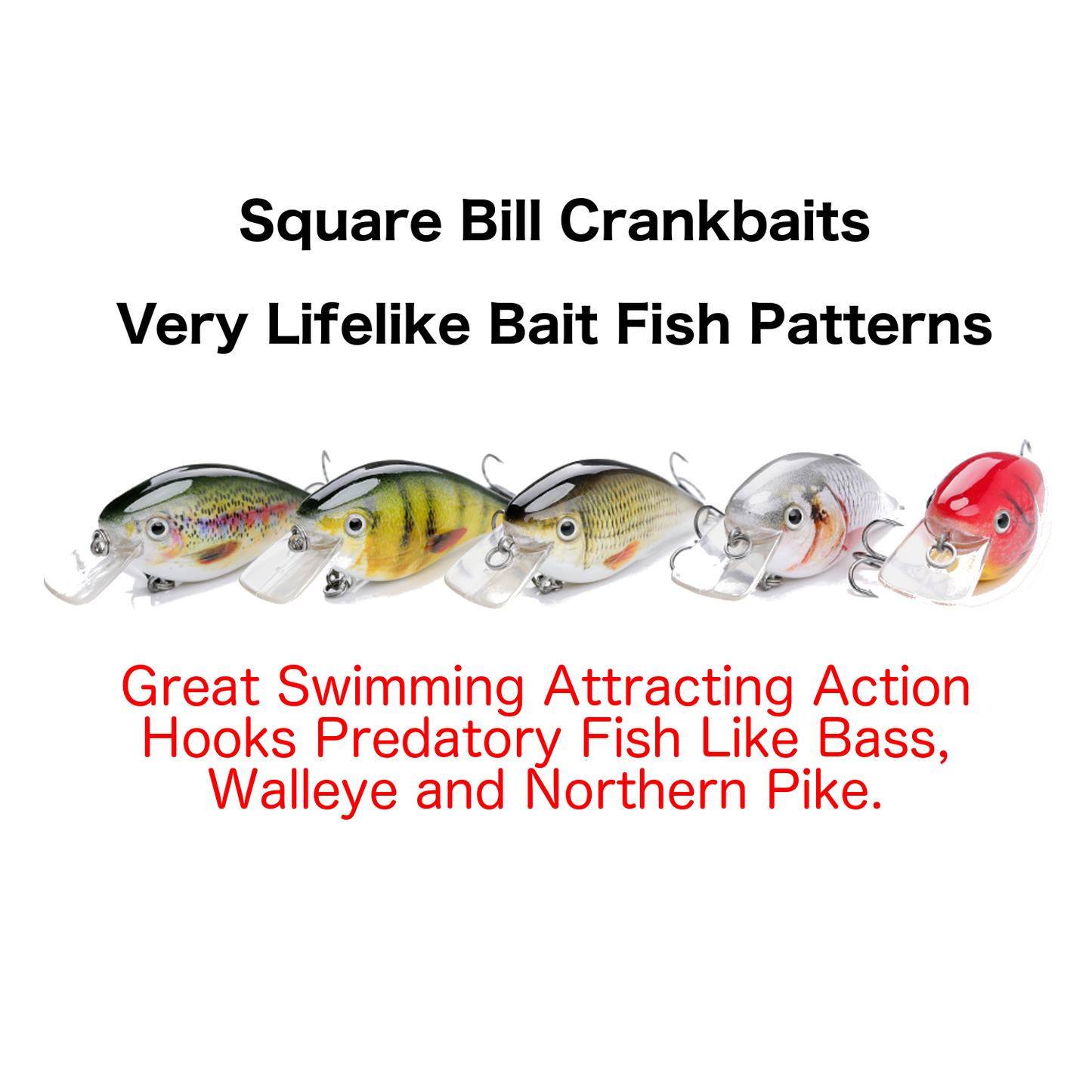 Life-Like Crankbait Fishing Lures- Set of 5